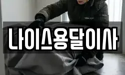나이스용달이사