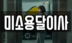 미소용달이사