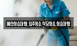 예산청소대행,입주청소,식당청소,청소대행