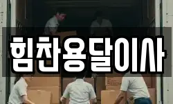 힘찬용달이사