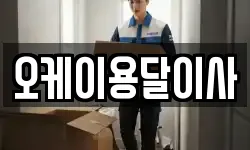 오케이용달이사