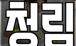 충남 예산군 덕산면 청소,입주청소,사무실청소,에어컨청소