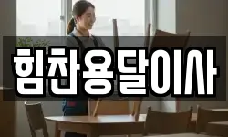 힘찬용달이사