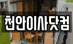 천안이사닷컴
