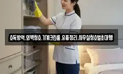 소독방역.외벽청소.기계크린룸.유품정리.사무실청소벌초대행