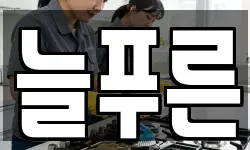 늘푸른
