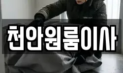 천안원룸이사