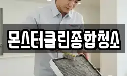 몬스터클린종합청소