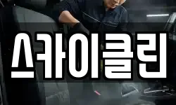 스카이클린