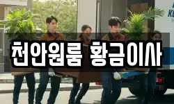 천안원룸 황금이사