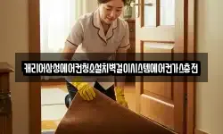 캐리어삼성에어컨청소설치벽걸이시스템에어컨가스충전