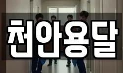 충남 천안시 동남구 동면 이사,용달이사,포장이사,원룸이사,보관이사