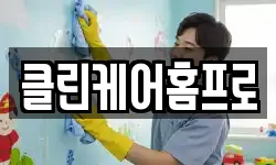 클린케어홈프로