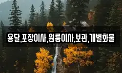 충남 천안시 동남구 병천면 이사,용달이사,포장이사,원룸이사,보관이사
