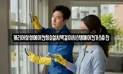 캐리어삼성에어컨청소설치벽걸이시스템에어컨가스충전