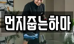 먼지줍는하마