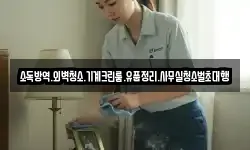 소독방역.외벽청소.기계크린룸.유품정리.사무실청소벌초대행