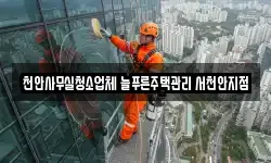 천안사무실청소업체 늘푸른주택관리 서천안지점
