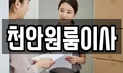 천안원룸이사