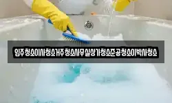 입주청소이사청소거주청소사무실상가청소준공청소이박사청소
