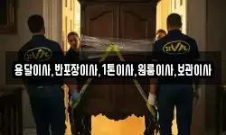 용달이사,반포장이사,1톤이사,원룸이사,보관이사
