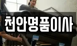 천안명품이사