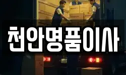 천안명품이사