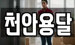 천안용달