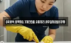 소독방역.외벽청소.기계크린룸.유품정리.사무실청소벌초대행