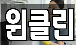 윈클린