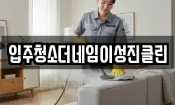 입주청소더네임이성진클린