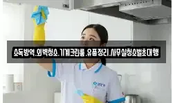 소독방역.외벽청소.기계크린룸.유품정리.사무실청소벌초대행