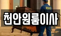 천안원룸이사