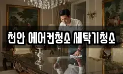 천안 에어컨청소 세탁기청소