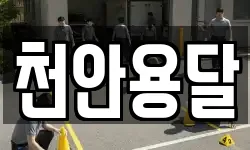 천안용달