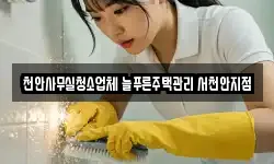 천안사무실청소업체 늘푸른주택관리 서천안지점