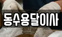 동수용달이사