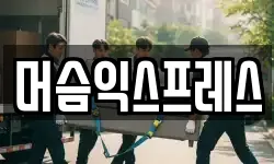 머슴익스프레스