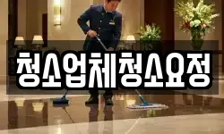 청소업체청소요정