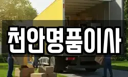 천안명품이사