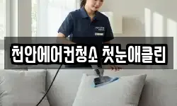 천안에어컨청소 첫눈애클린