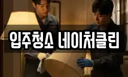 입주청소 네이처클린