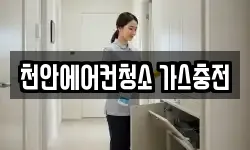 충남 천안시 동남구 청수동 청소,입주청소,사무실청소,에어컨청소