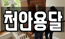 천안용달
