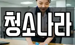청소나라