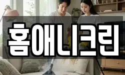 홈애니크린