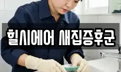 힐시에어 새집증후군