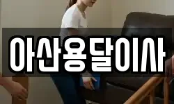아산용달이사