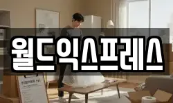 월드익스프레스