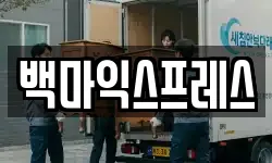 백마익스프레스